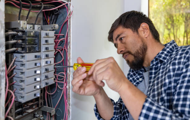 Best 24-Hour Electrician  in Paloma Creek, TX